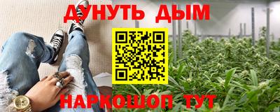кокс Донской