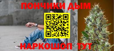 МДПВ Дубна