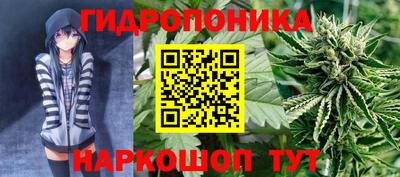 кокс Донской