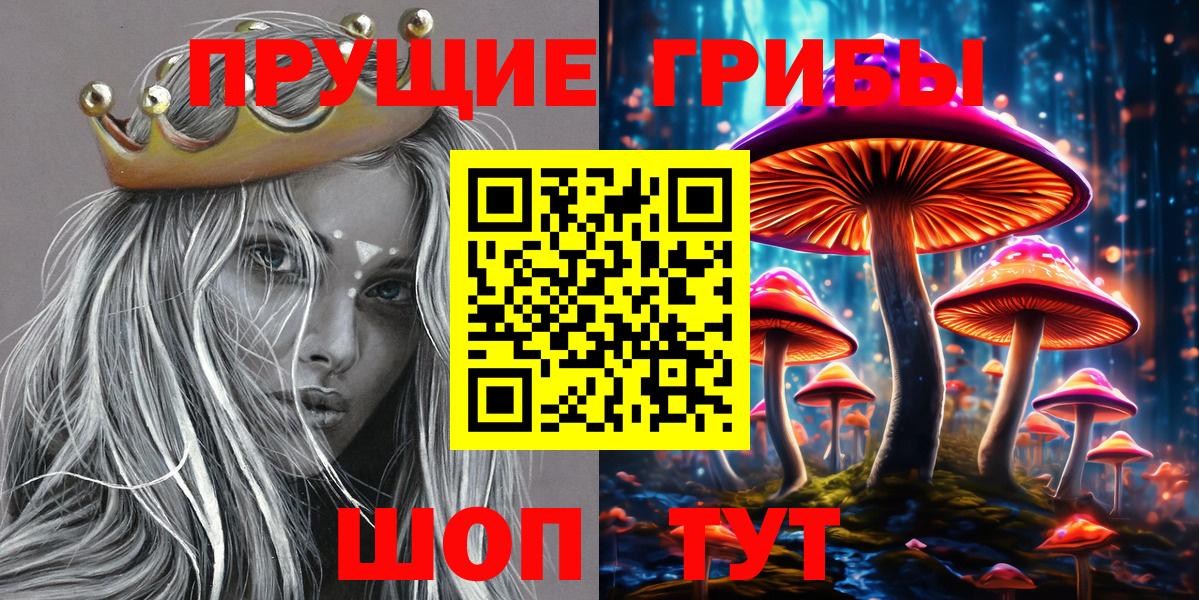 Галлюциногенные грибы Psilocybine cubensis Мыски