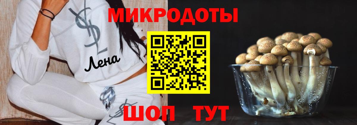 Псилоцибиновые грибы Cubensis  купить наркотик  Мыски  Вход с VPN 